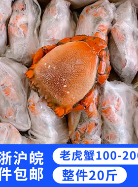 新鲜冷冻老虎蟹 虎头蟹 贵妃蟹 旭蟹 100-200克 20斤酒楼摆盘食材