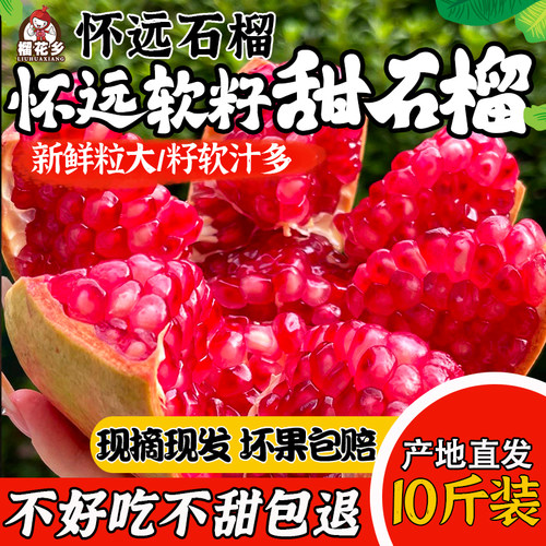 溜之大吉怀远石榴软籽石榴