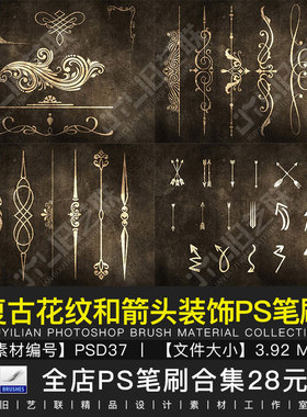 欧式复古花纹箭头装饰ps笔刷古典边框对称花边藤蔓箭羽素材PSD37