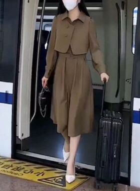 22737大爱美依缘2024秋季新款套装韩版时尚马甲连衣裙两件套显瘦