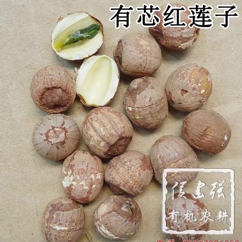 侯建强自家少量种植 带芯红莲子  没施农药化肥 一年一批货 500g