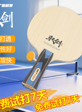 RKT锐科特驭剑乒乓球底板外置ALC蓝芳碳快攻弧圈碳纤维碳素球拍