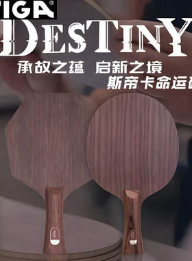 Stiga斯帝卡斯蒂卡命运碳素乒乓球底板DestinyCarbon碳纤维小蓝标