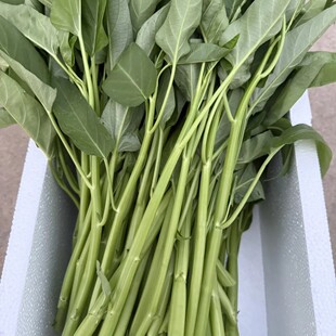 空心菜新鲜4斤3斤包邮湖北农家藤藤菜蕹菜蓊菜通心菜无心菜空筒菜