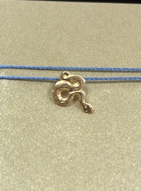 丝线款 银镀金【蛇】小蛇吊坠 许愿项链 美国Dogeared正品
