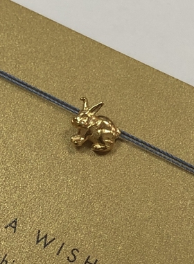 丝线款 银镀金【兔子】吊坠 许愿项链 美国Dogeared正品