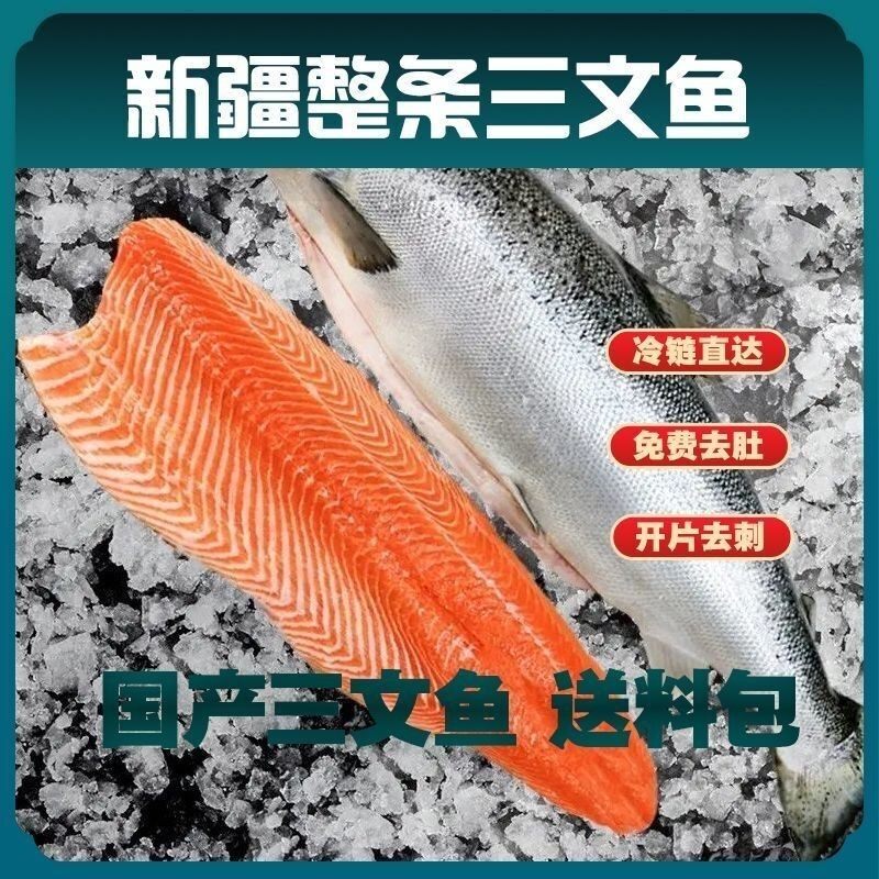 新疆国产三文鱼整条3-10斤冰鲜三文鱼刺身去肚开片去刺新鲜大鱼