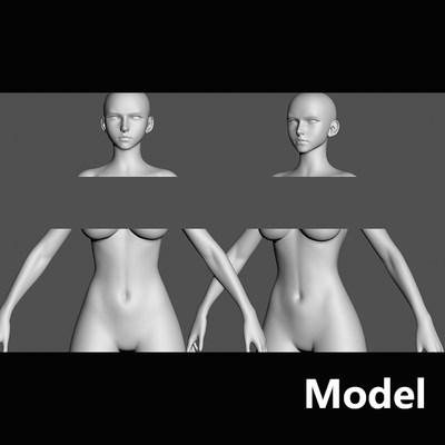 Model 女性风格化基础模型雕刻基础ztl高模