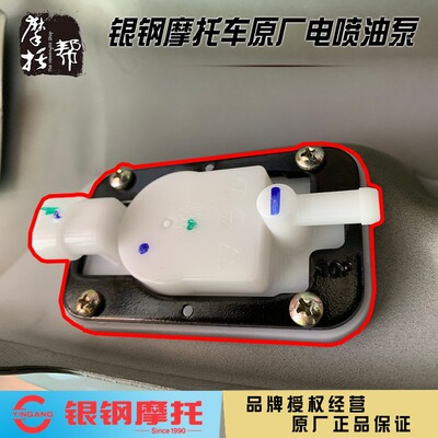 银钢摩托车150200300电喷油泵