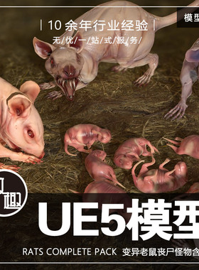 UE4UE5_Rats Complete Pack 变异老鼠怪物丧尸老鼠含动画_模型247