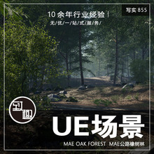UE4UE5_大自然公路原始橡树林壮阔风景色cg游戏场景资产_写实855