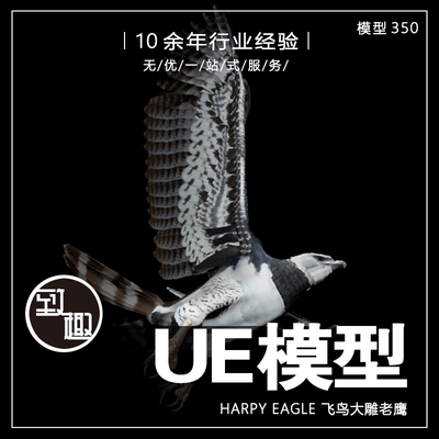 UE4UE5_Harpy Eagle角雕老鹰飞禽珍稀鸟类动物角色含动画_模型350