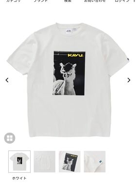 羊驼印花短袖T恤 基础款 用的美棉 直筒版型 XL 胸围122