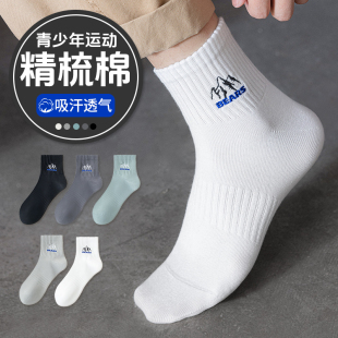 青少年袜子男薄款 棉袜防臭透气雪山刺绣吸汗初中生学生休闲运动风