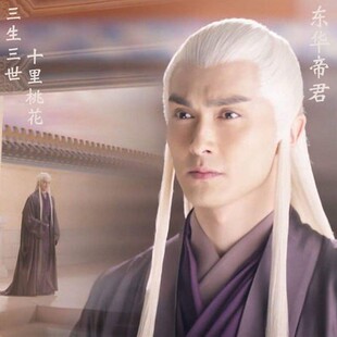 三生三世东华帝君同款假发古装美人间白长直发男女动漫头套道具