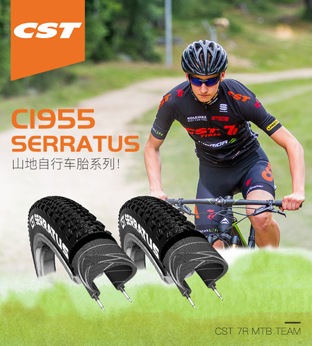 CST正新C1955 27.5X1.95自行车外胎26 X1.95山地车防穿刺钢丝轮胎