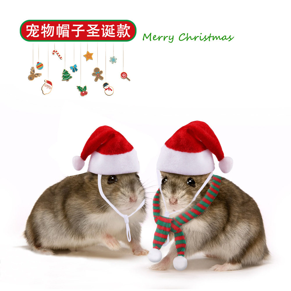 亚马逊新品宠物仓鼠圣诞帽围巾套装龙猫节日配饰小宠帽子现货,宠物/宠物食品及用品,帽子,淘宝优惠券,粉丝福利购,淘宝优惠卷