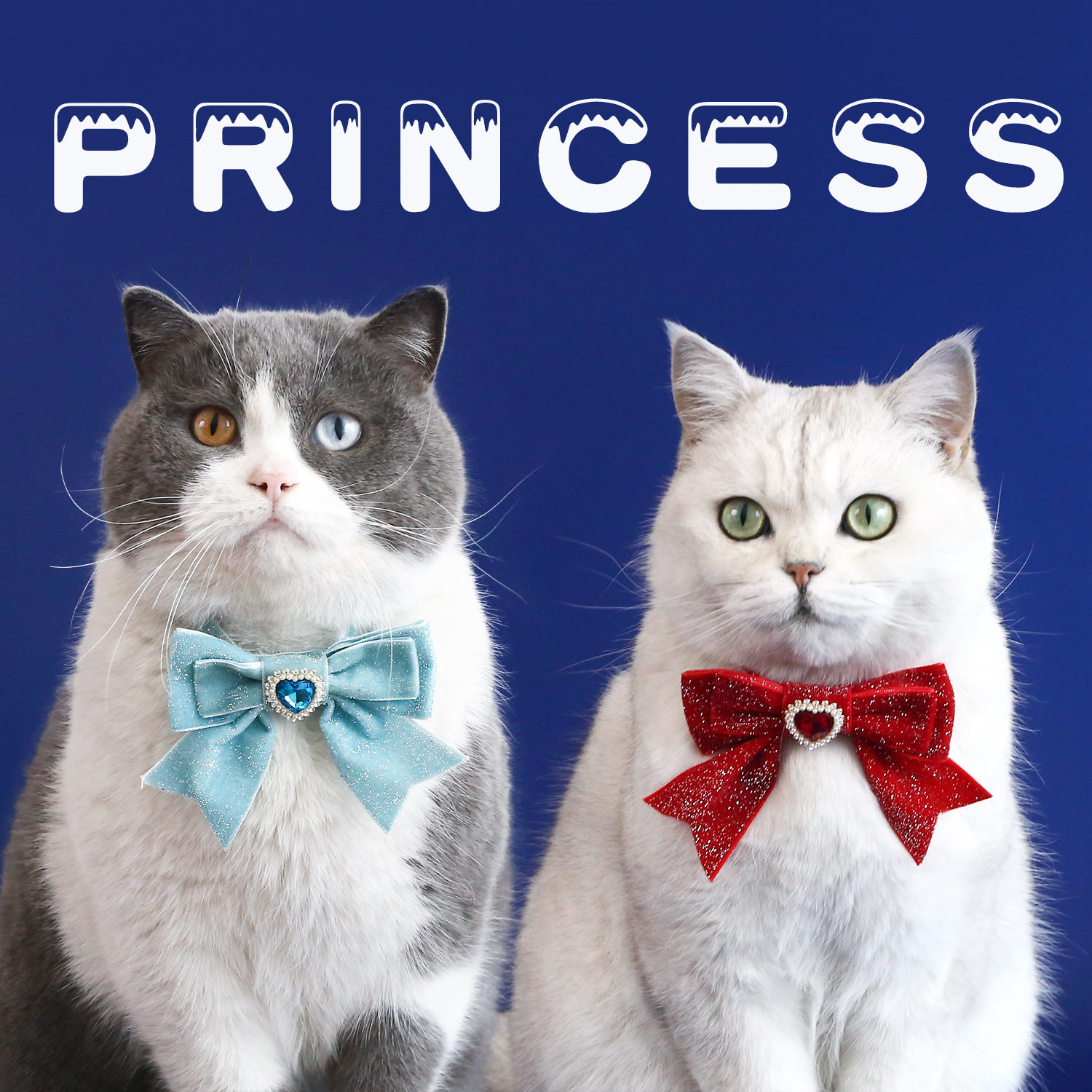 宠物爱心丝绒蝴蝶结项圈珍珠宝石可调节银丝领结猫咪狗狗生日配饰,宠物/宠物食品及用品,围巾/口水巾,淘宝优惠券,粉丝福利购,淘宝优惠卷