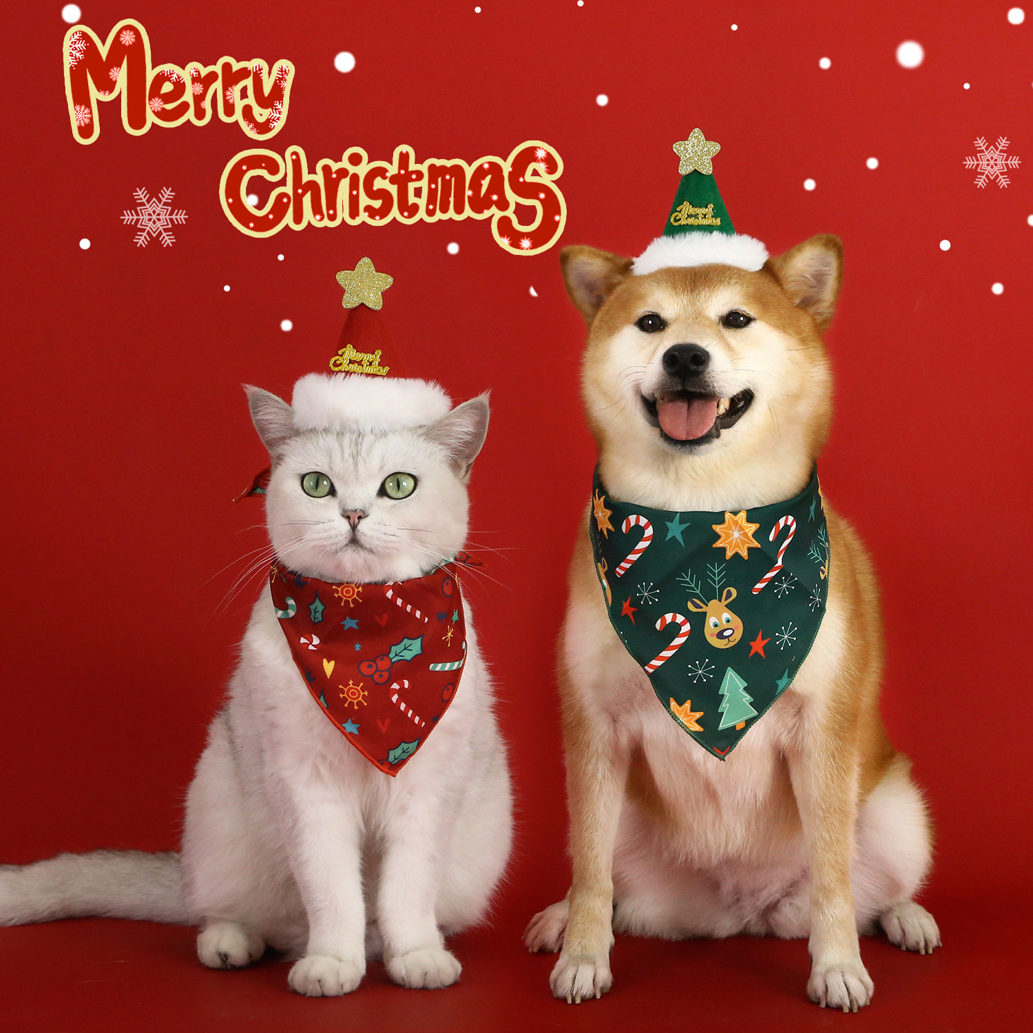 2024宠物猫咪狗狗印花三角巾帽子