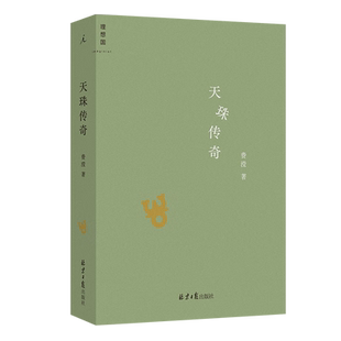 天珠传奇 费滢 著 理想国北京日报出版社《东课楼经变》作者费滢全新作品集