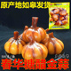 如皋春华糖醋金蒜醋泡本大蒜头酱汁酸甜蒜子开胃下饭小菜 酱菜 包邮