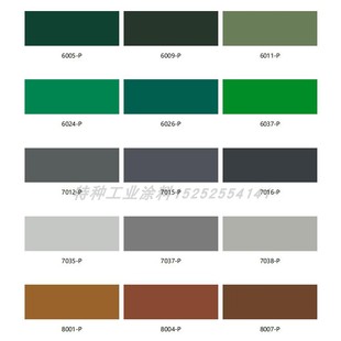 劳尔6005-P滑板车潮流手办应援棒话筒耳返电吉他魔方RGBM鹦鹉色漆