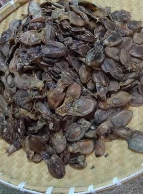 小墨鱼干小乌贼干小乌贼子 海鲜淡晒微咸浓香250克4份包邮