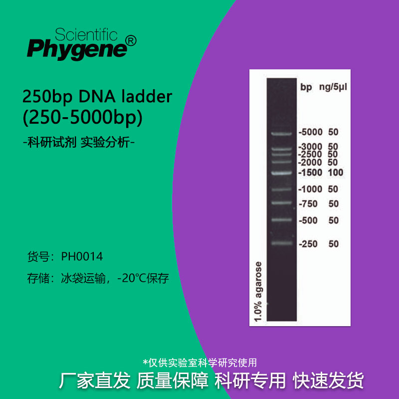 核酸电泳DNAMarker250-5000bp