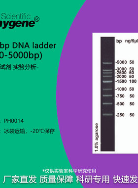 250bp DNA Marker ladder (250-5000bp) 100T [PH0014 PHYGNE]