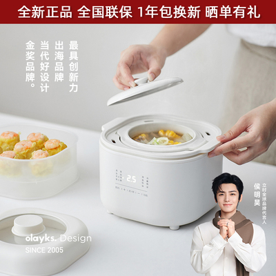 电炖锅隔水炖olayks陶瓷内胆