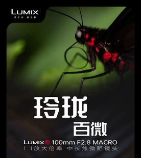 松下LUMIX MACRO S5M2 E100 S5M2X 100mmF2.8 L卡口 微距镜头