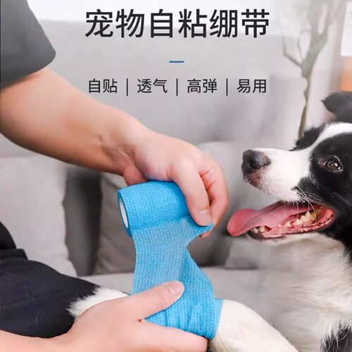 狗狗防脏透气不掉脚鞋套