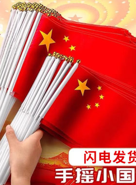 手摇旗小红旗防水旗帜