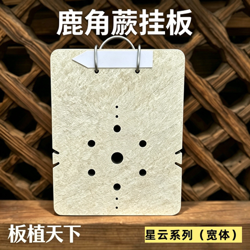 鹿角蕨挂板网红款星云宽体系列挂板热植板洞洞板植鹿角蕨高端挂板
