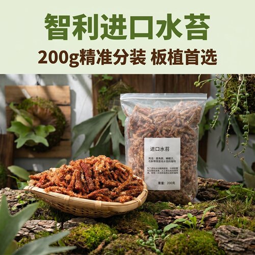 水苔进口毛毛虫水苔鹿角蕨石斛蝴蝶兰水苔球板植进口水苔七星水苔