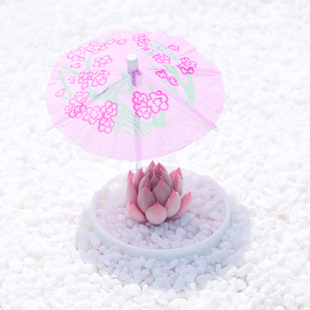 牙签小伞  多肉植物度夏遮阳小伞  牙签纸质小伞颜色随机10把