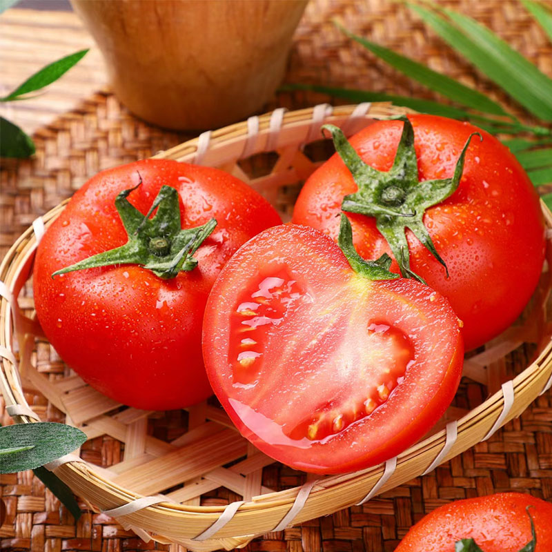 生吃西红柿 新鲜当季大番茄自然熟整箱柿子农场直发现摘现发水果