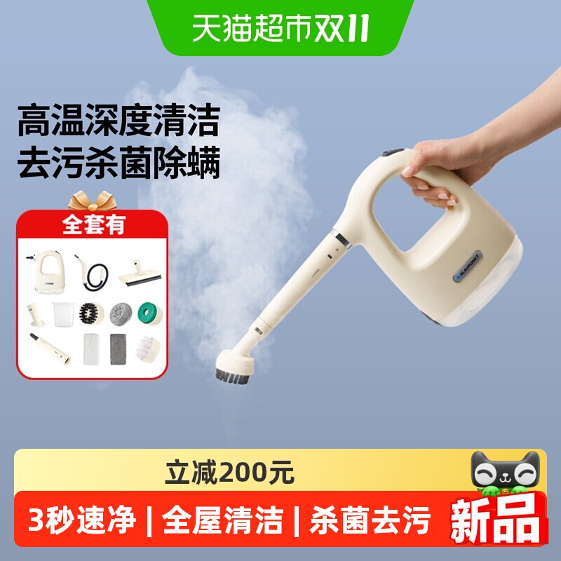 德国蓝宝高温高压蒸汽清洁机家用小型厨房空调家电油烟消毒清洗机