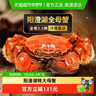 湖东蟹阳澄湖大闸蟹鲜活螃蟹全母3.0两*8只装特大母蟹海鲜礼盒
