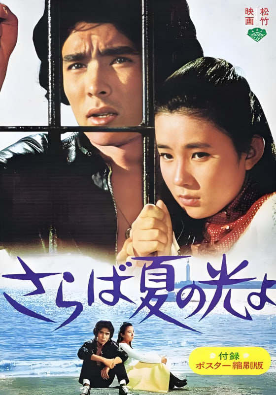 再见，夏日之光