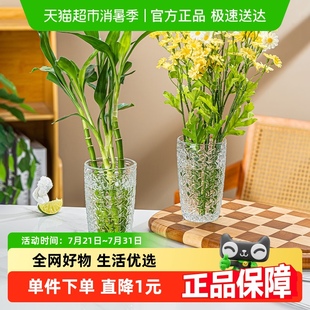 饰桌面插花居家摆件 彩界ins风浮雕玻璃小花瓶水培绿植办公室装