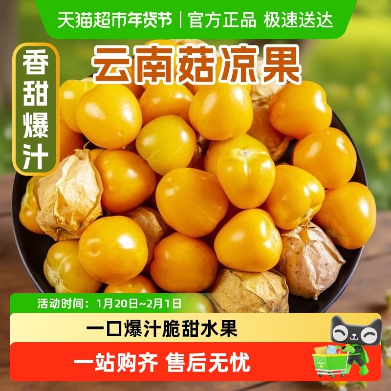 云南姑娘果当季新鲜现摘水果黄灯笼果小金豆产地直发菇凉果整箱,水产肉类/新鲜蔬果/熟食,其它,淘宝优惠券,粉丝福利购,淘宝优惠卷