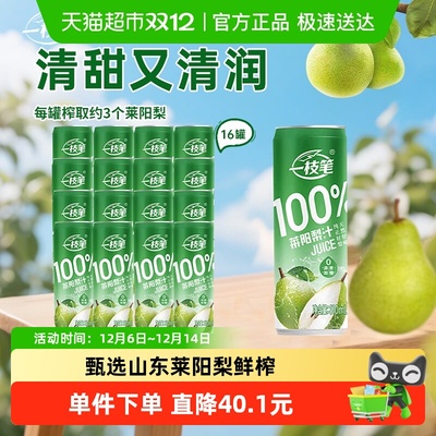 一枝笔莱阳梨汁310ml×16罐