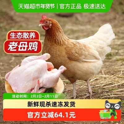 大用黄油老母鸡1500g*2只