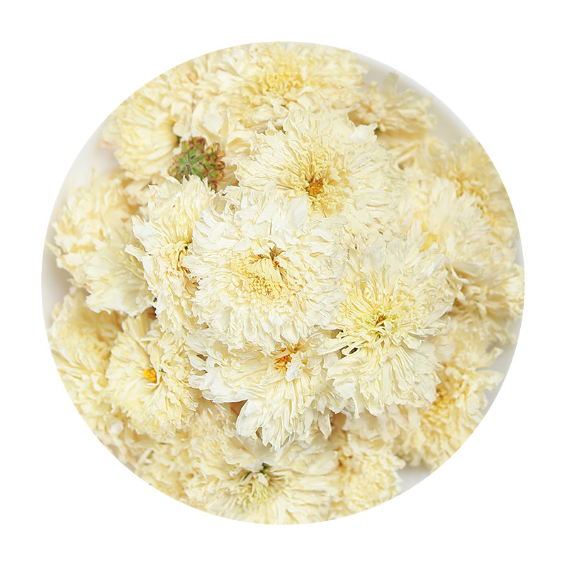 白菊花干当季新货正品500g