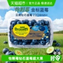 Driscoll 蓝莓新鲜水果 s怡颗莓金标蓝莓云南超大果蓝莓高端钻石款