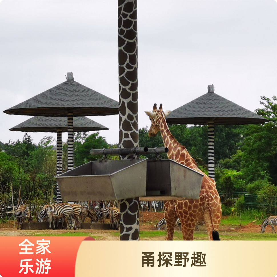 宁波野生动物园一日游