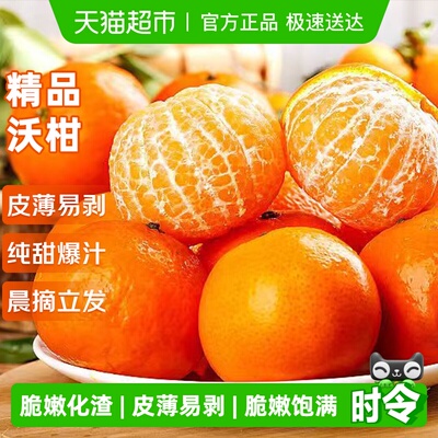 京运达云南沃柑