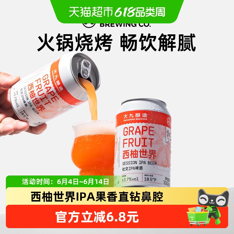 大九酿造西柚世界社交IPA啤酒330ml*2罐装精酿国产酸啤清爽鲜啤