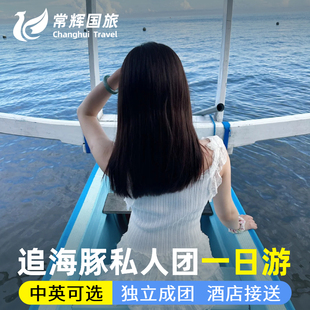 罗威纳追海豚一日游私人游中文司机水神庙含酒店接送巴厘岛一日游